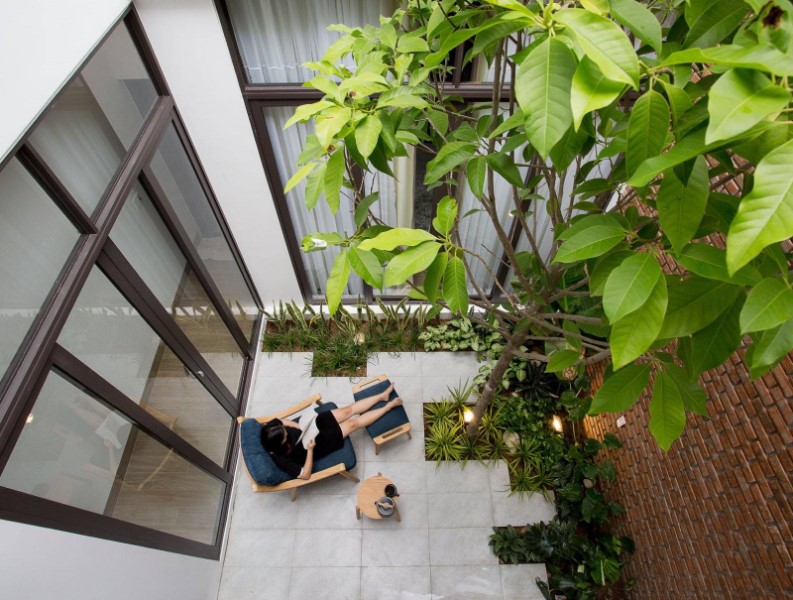 Trồng cây xanh trong nhà giúp không khí trong lành